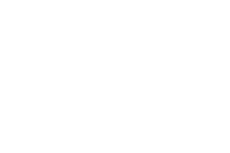digital marketing agency istanbul -roiux