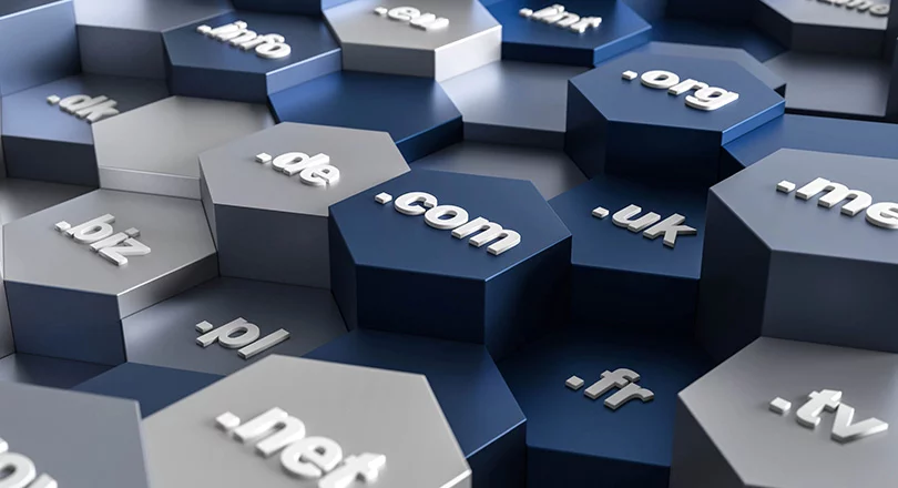 Domain Adı Tescil Şirketi Nasıl Seçilir?