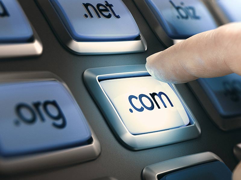 Domain Kayıt