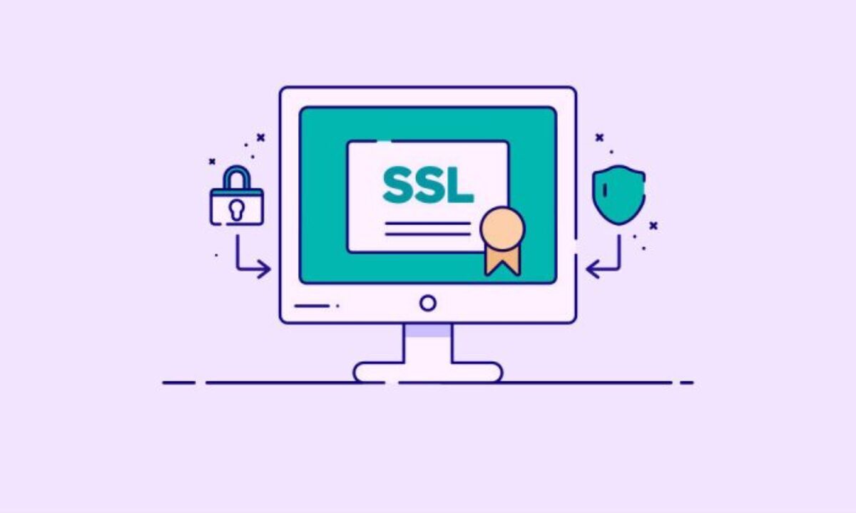 SSL Sertifikası